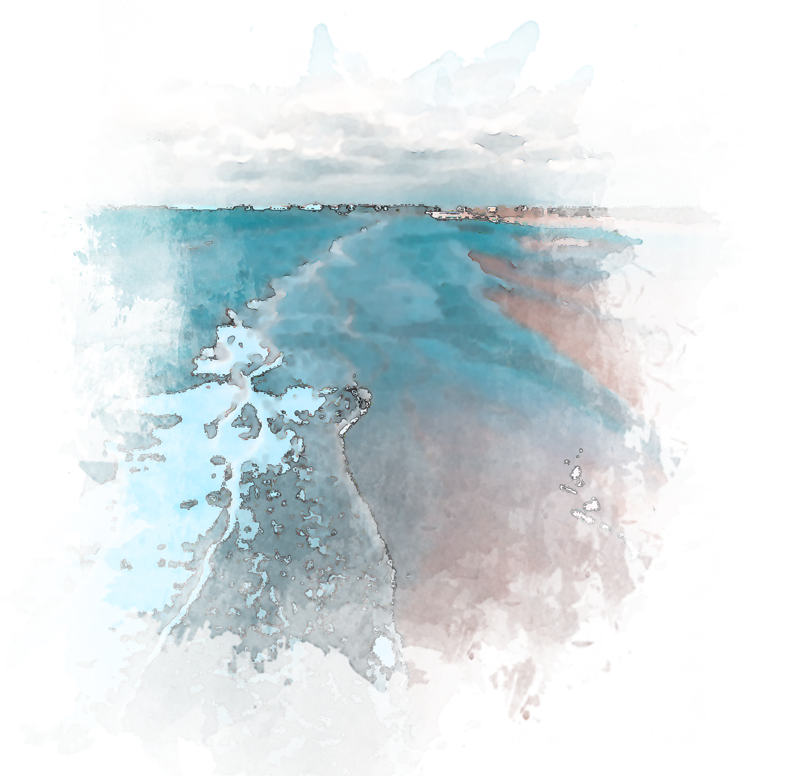 Schweiz. Verband der Bestattungsdienste Eine Luftaufnahme eines Strandes und des Ozeans.